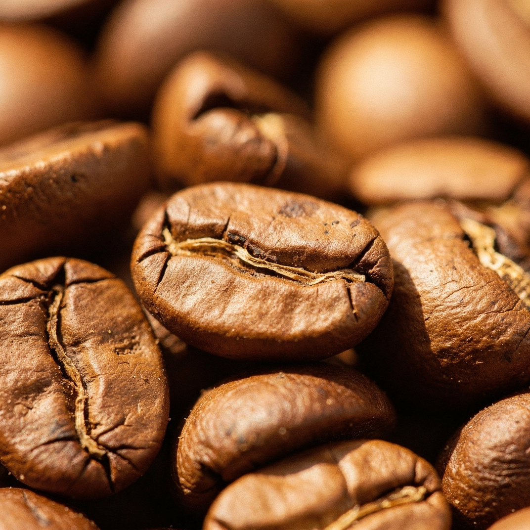 Light roast coffee beans